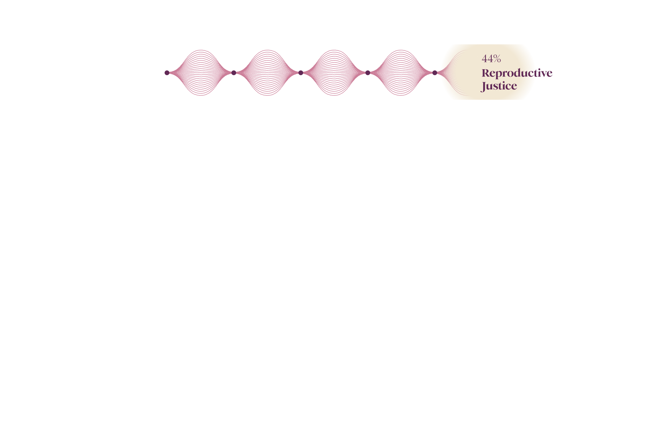 Visual representation of 45% of funding for reproductive justice