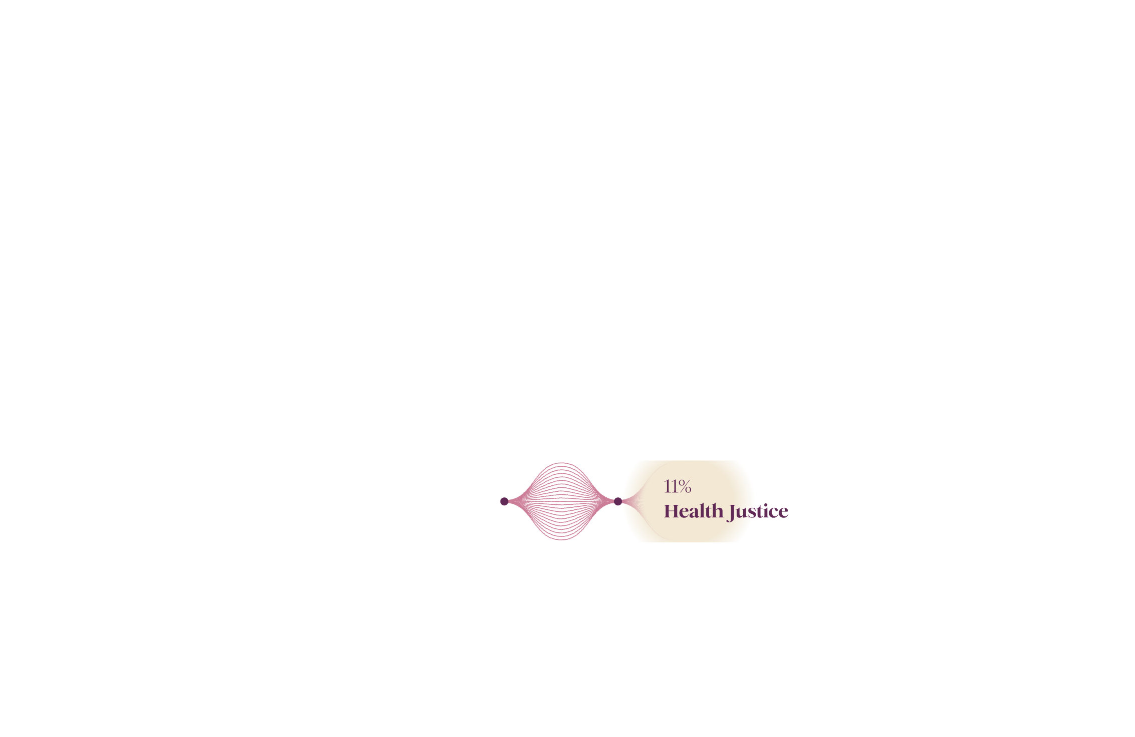Visual representation of 17% of funding for health justice